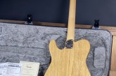 Fender American Elite Telecaster Thinline-16.jpg
